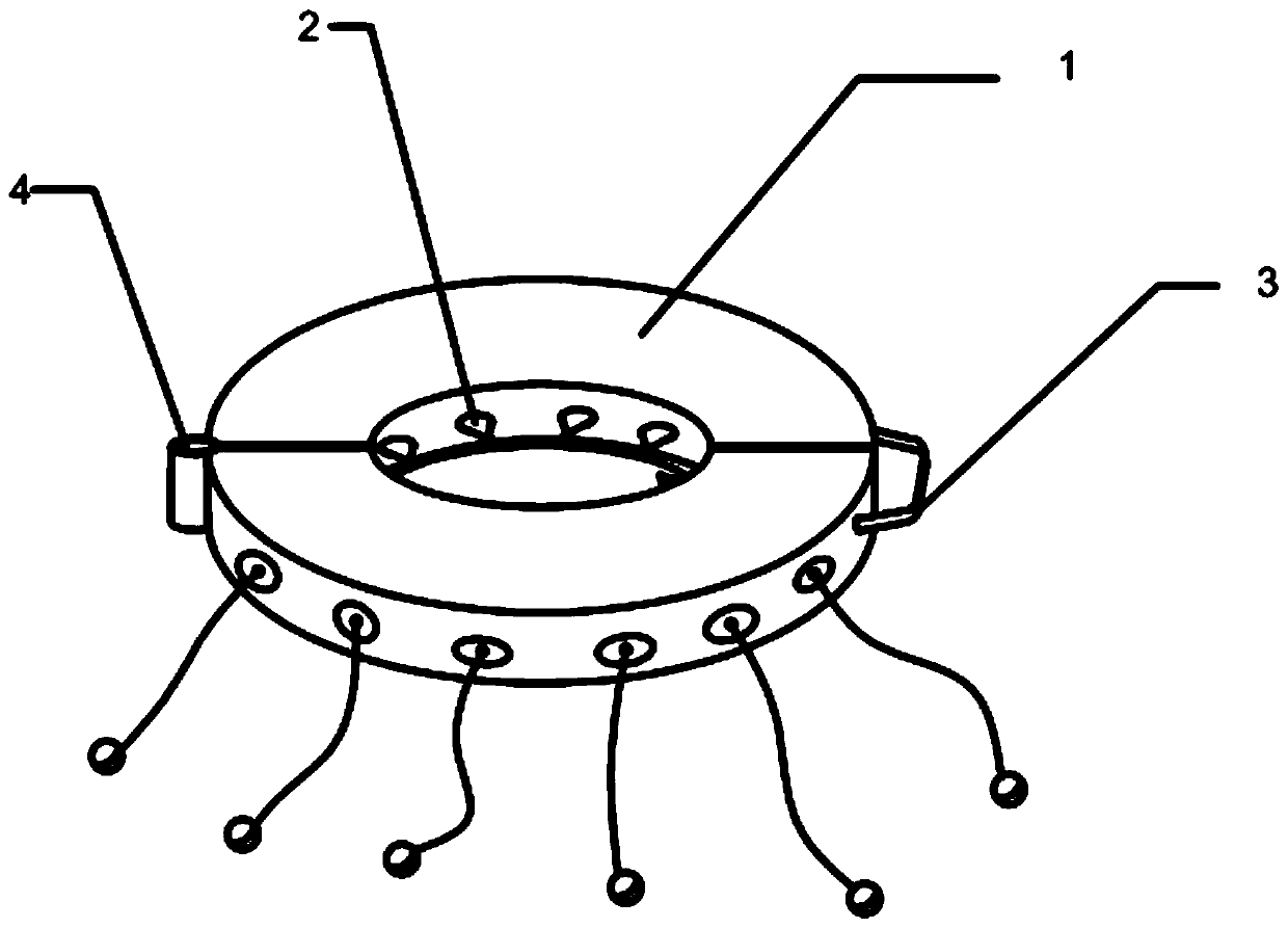 Tobacco virus detecting and developing device and using method thereof