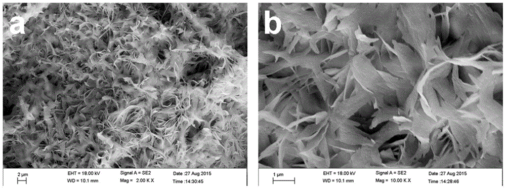 Preparation method for forming calcium-containing nanosheet film layer on surface of sandblasted and acid-etched titanium
