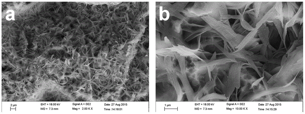 Preparation method for forming calcium-containing nanosheet film layer on surface of sandblasted and acid-etched titanium