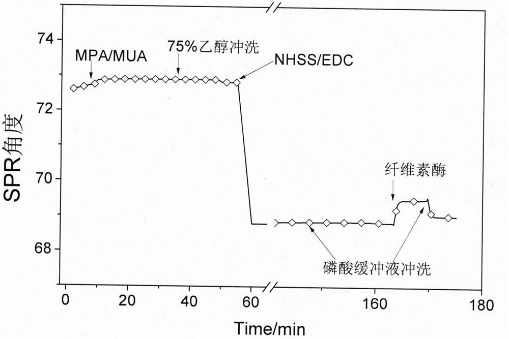 A method for modifying gold chips in situ with cellulase