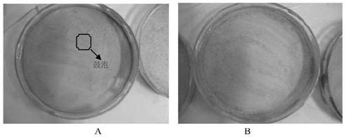 Self-setting anti-corrosion protective agent applicable to marine atmosphere environment and preparation and application thereof