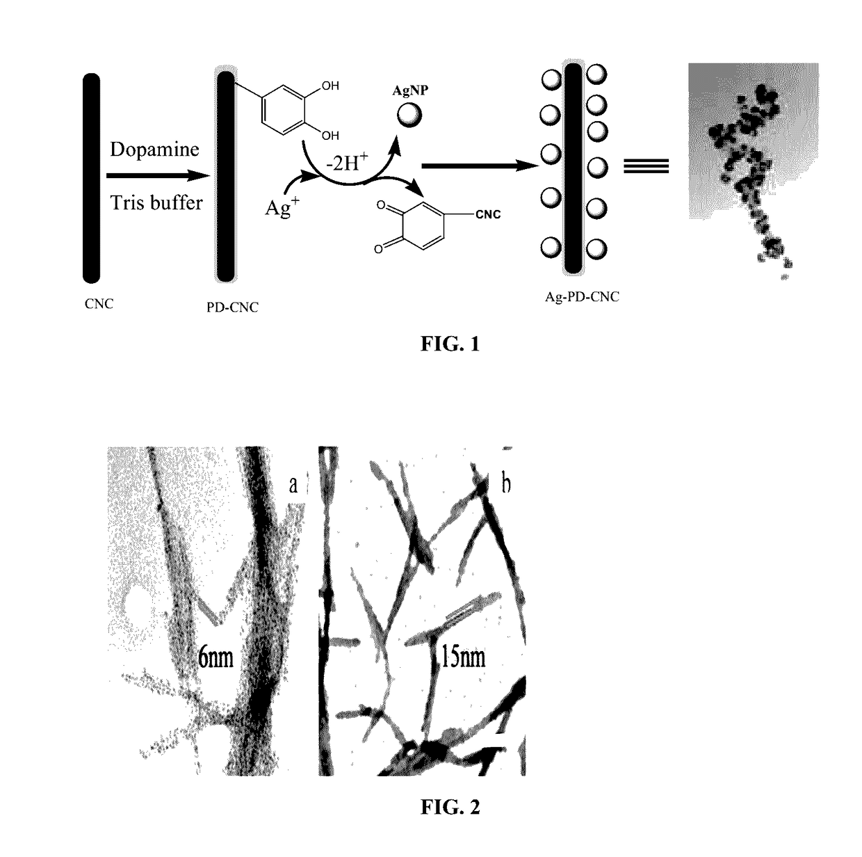Polydopamine functionalized cellulose nanocrystals (pd-cncs) and uses thereof