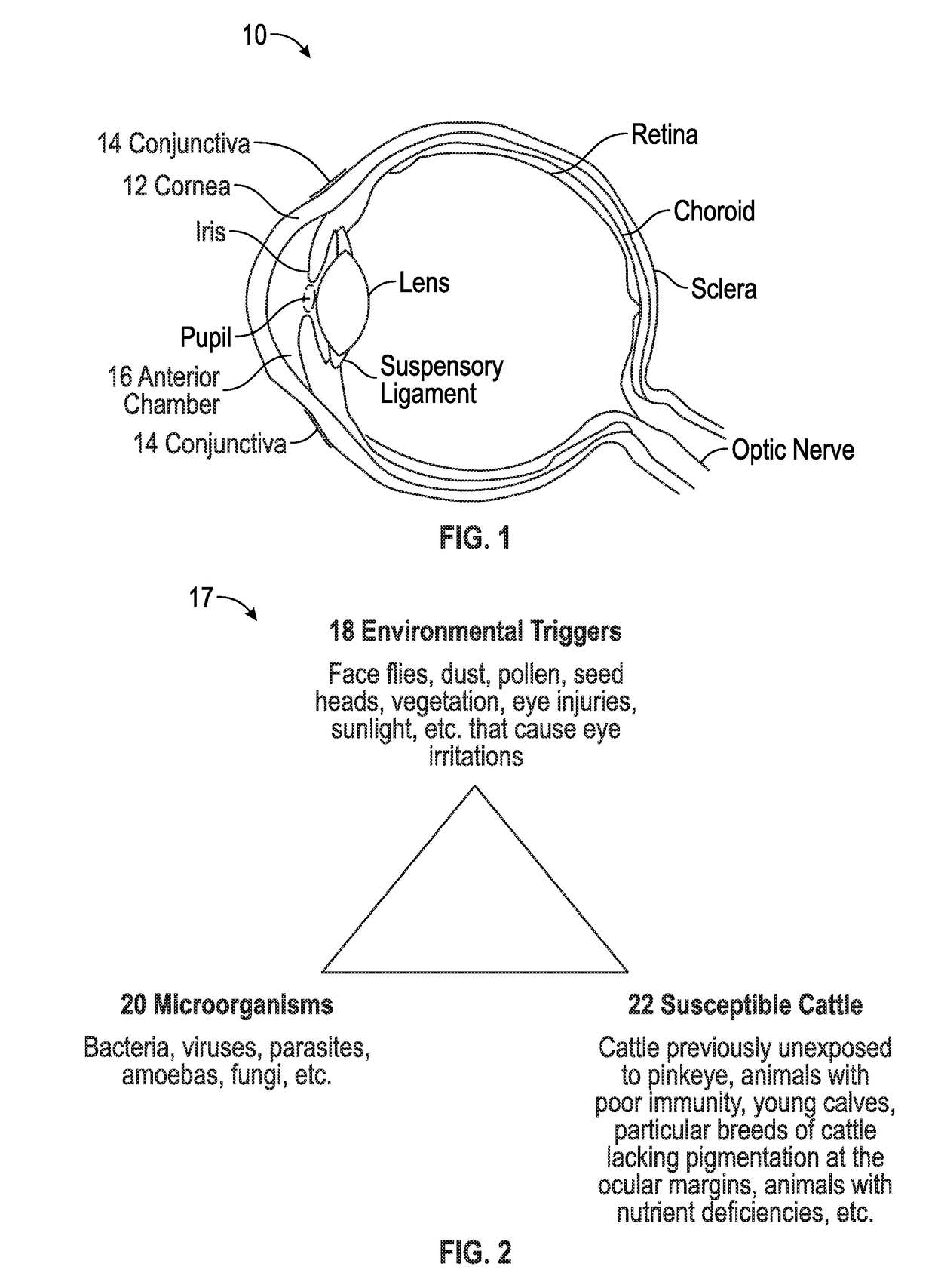 Drug delivery system and method of treating ocular diseases in animals