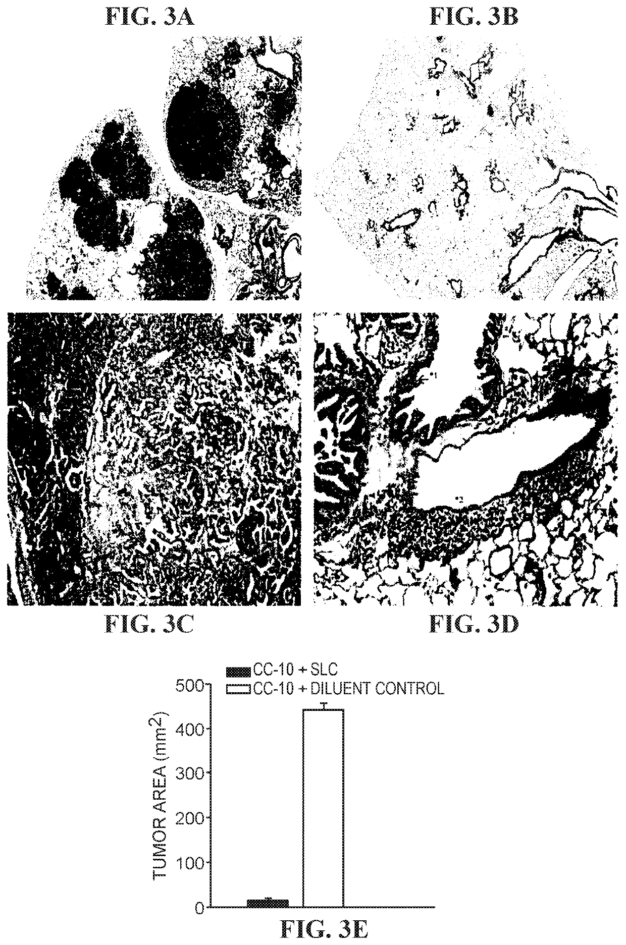 Combination immunotherapy