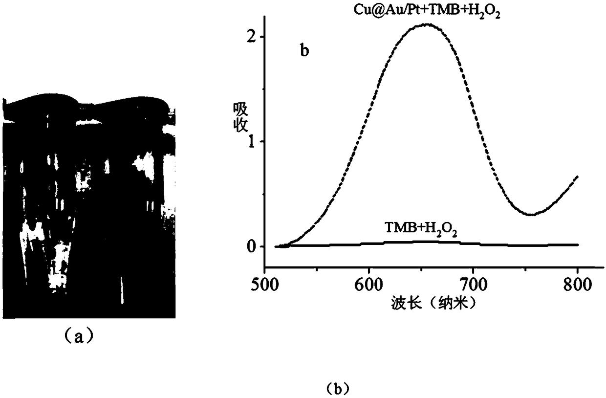 Preparation method of copper-gold-platinum composite nanomaterial and application of copper-gold-platinum composite nanomaterial in detection of cysteine