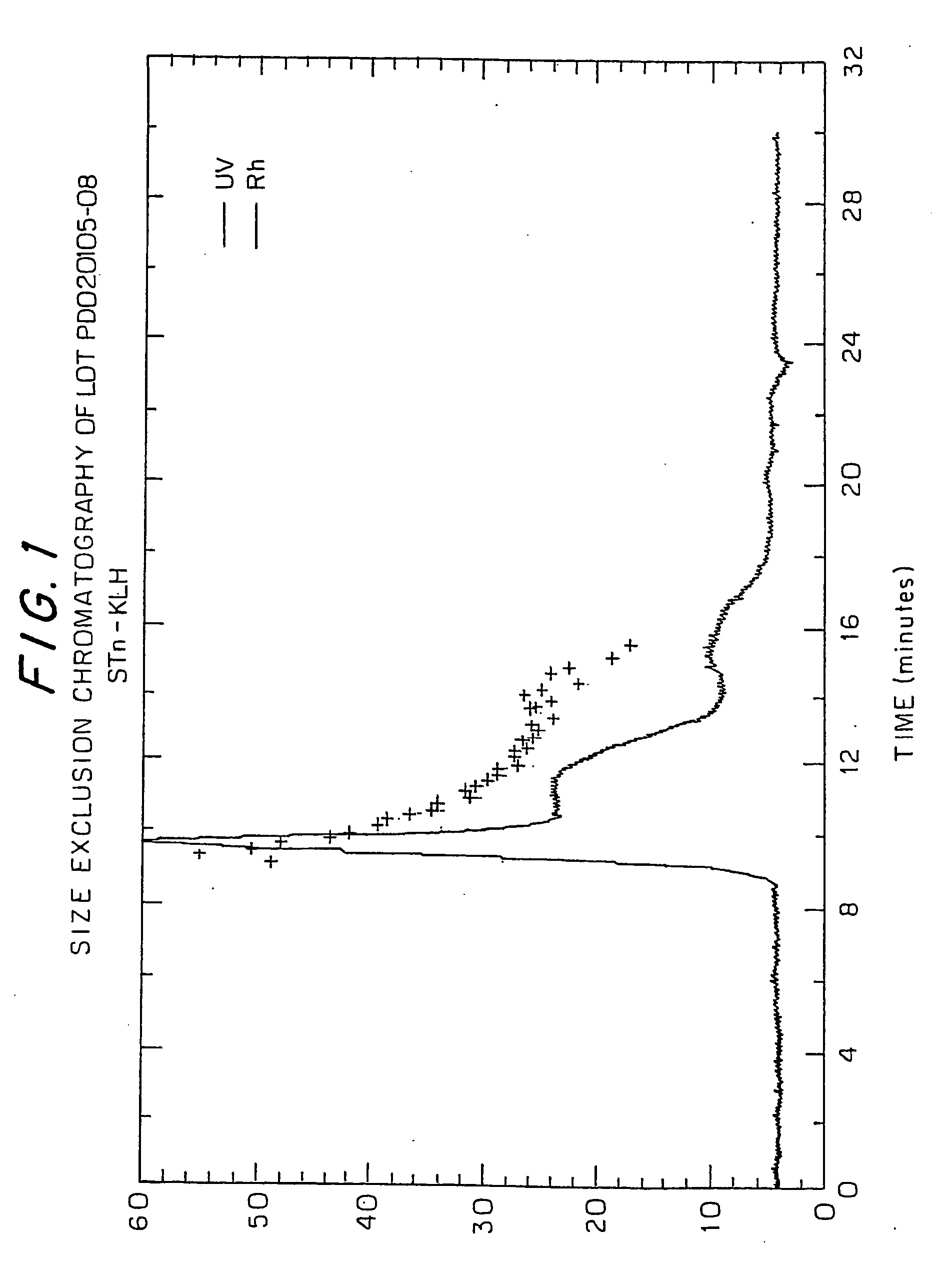 Imunogenic conjugate of carbohydrate haptens and aggregated protein carrier