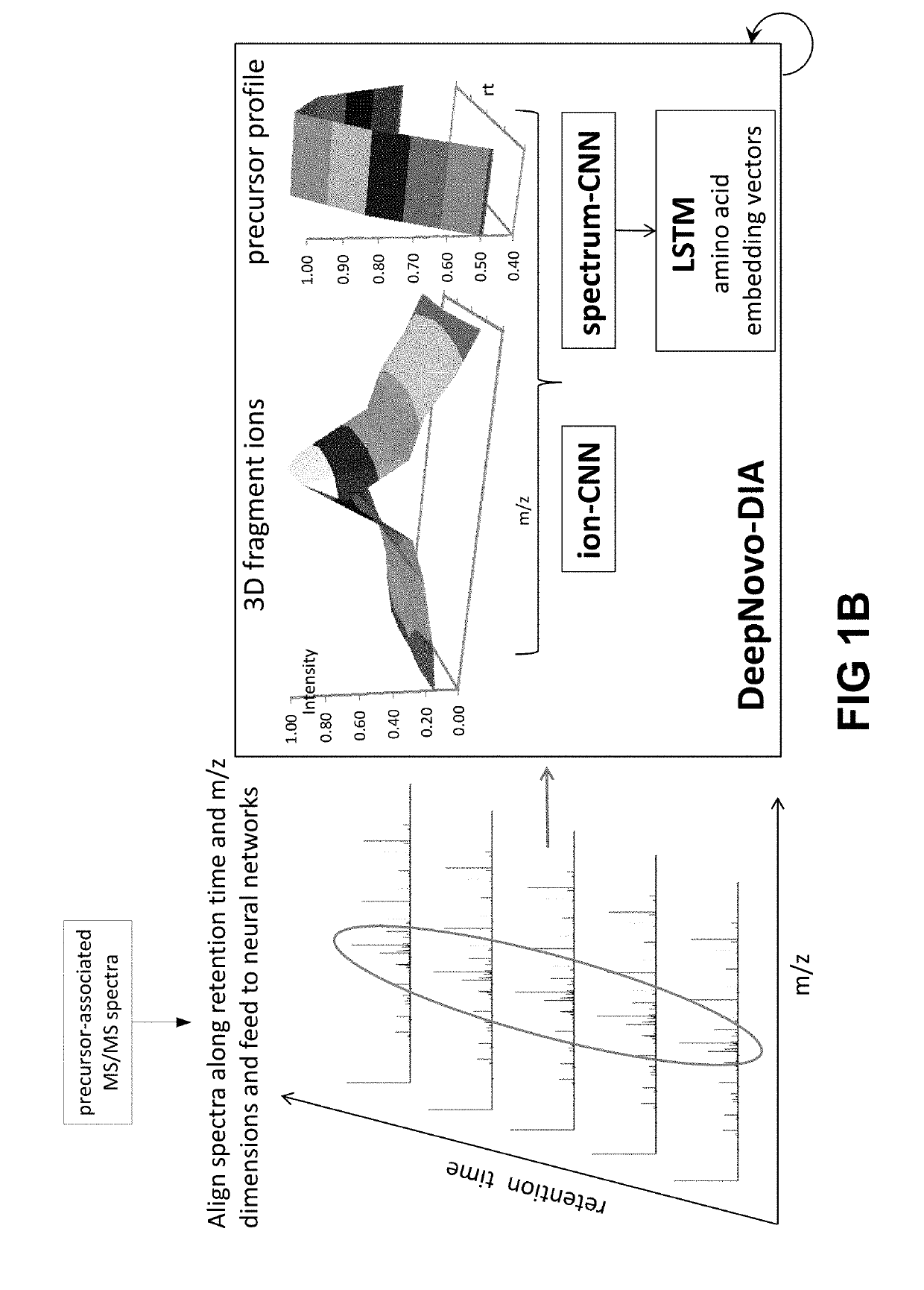 Systems and methods for de novo peptide sequencing from data-independent acquisition using deep learning