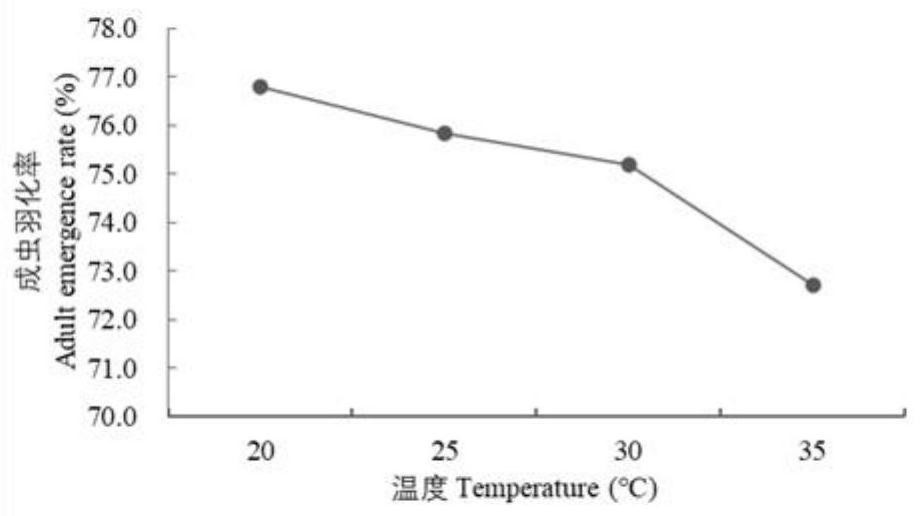 Environment control condition for artificial indoor breeding of Clanisbilineata tsingtauica Mell