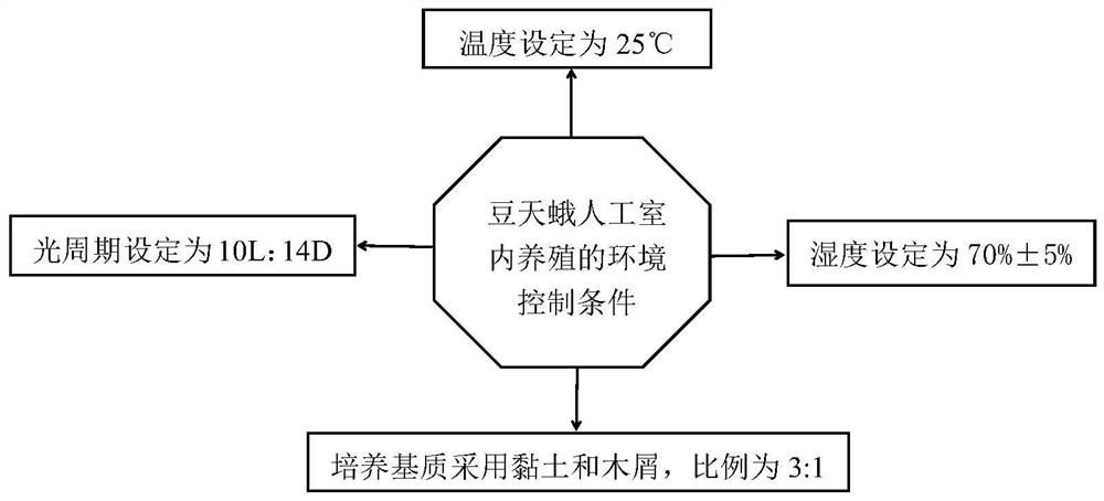 Environment control condition for artificial indoor breeding of Clanisbilineata tsingtauica Mell