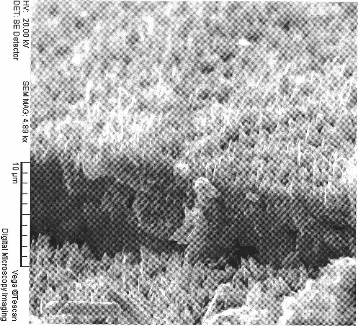 Method for Preparing black zinc oxide and application of black zinc oxide