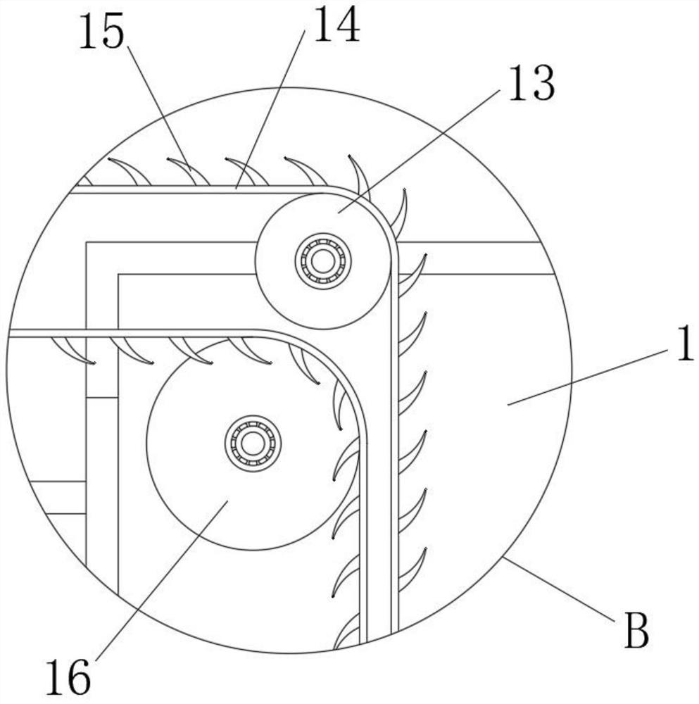 A kind of forage grass processing device for animal husbandry breeding