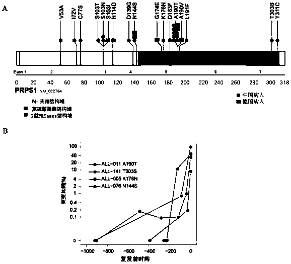 Medicine for treating or preventing drug-resistant relapse of acute lymphoblastic leukemia and its application