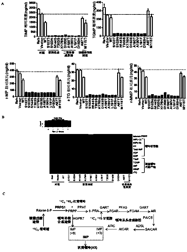 Medicine for treating or preventing drug-resistant relapse of acute lymphoblastic leukemia and its application