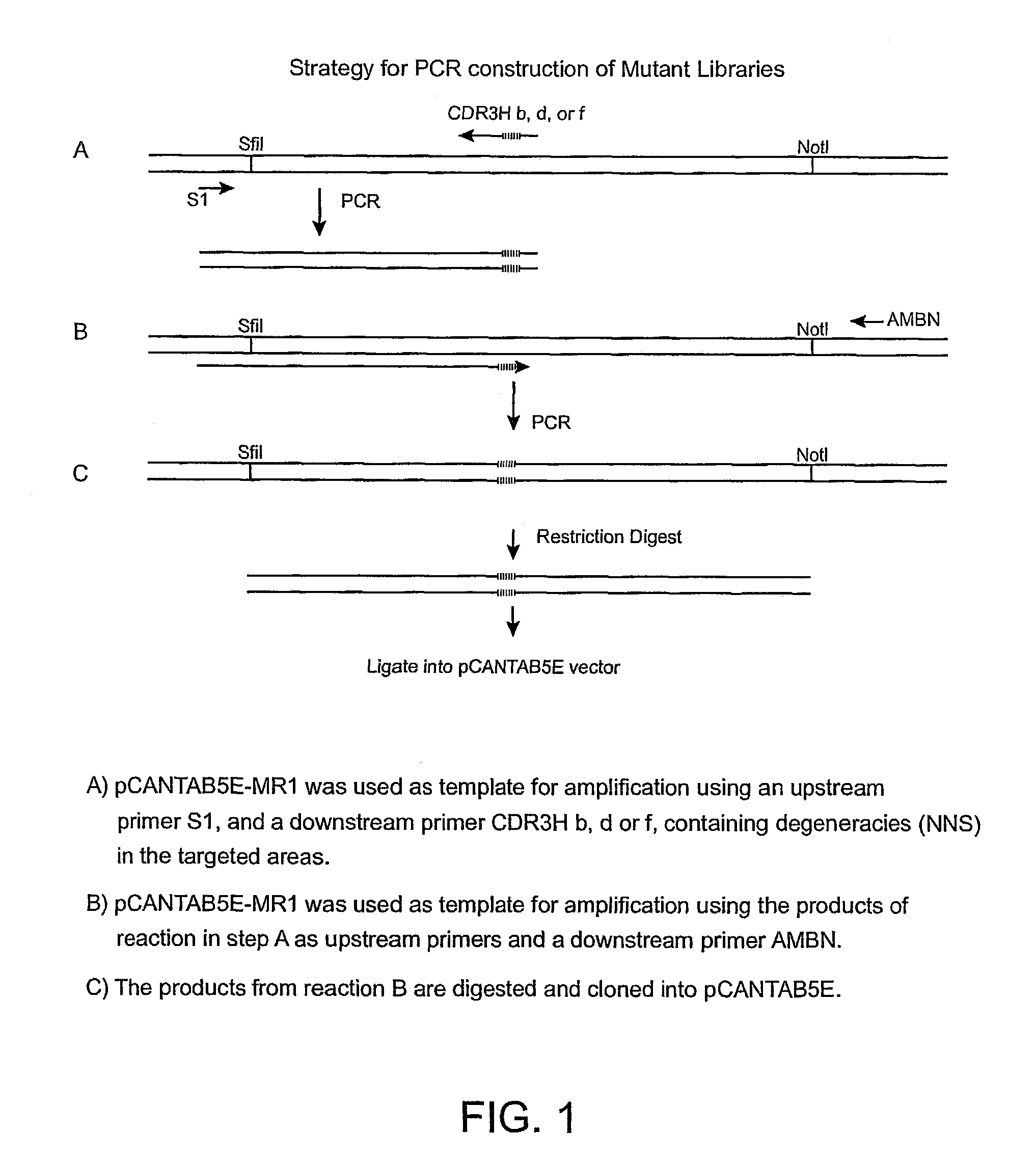 Anti-EGFRvIII scFvs with improved cytotoxicity and yield, immunotoxins based thereon, and methods of use thereof