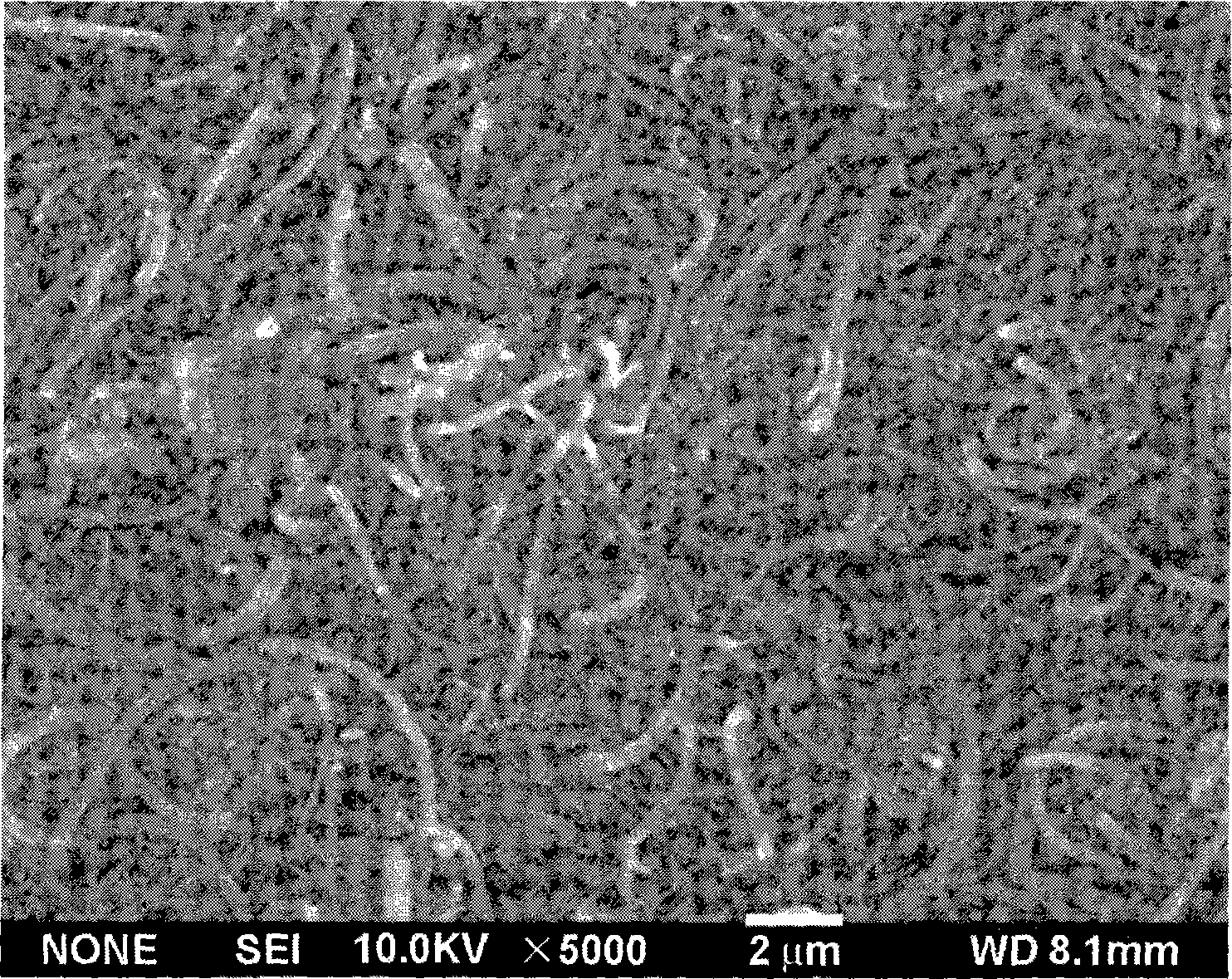 Method for preparing blocky carbon nano fibers composite material