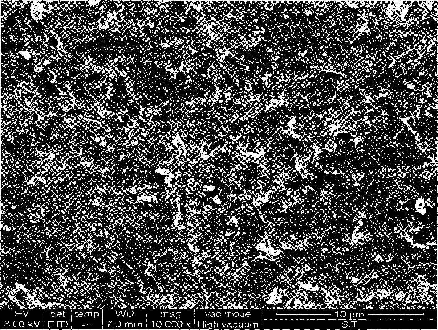 Method for preparing blocky carbon nano fibers composite material