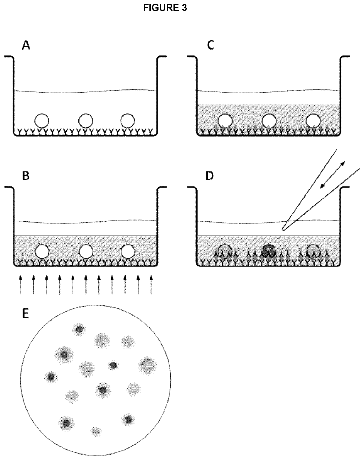 Cell encapsulation compositions and methods for immunocytochemistry