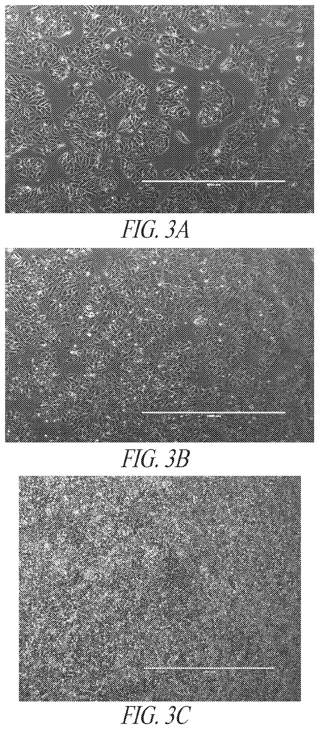 Methods and compositions for inducing hematopoietic cell differentiation