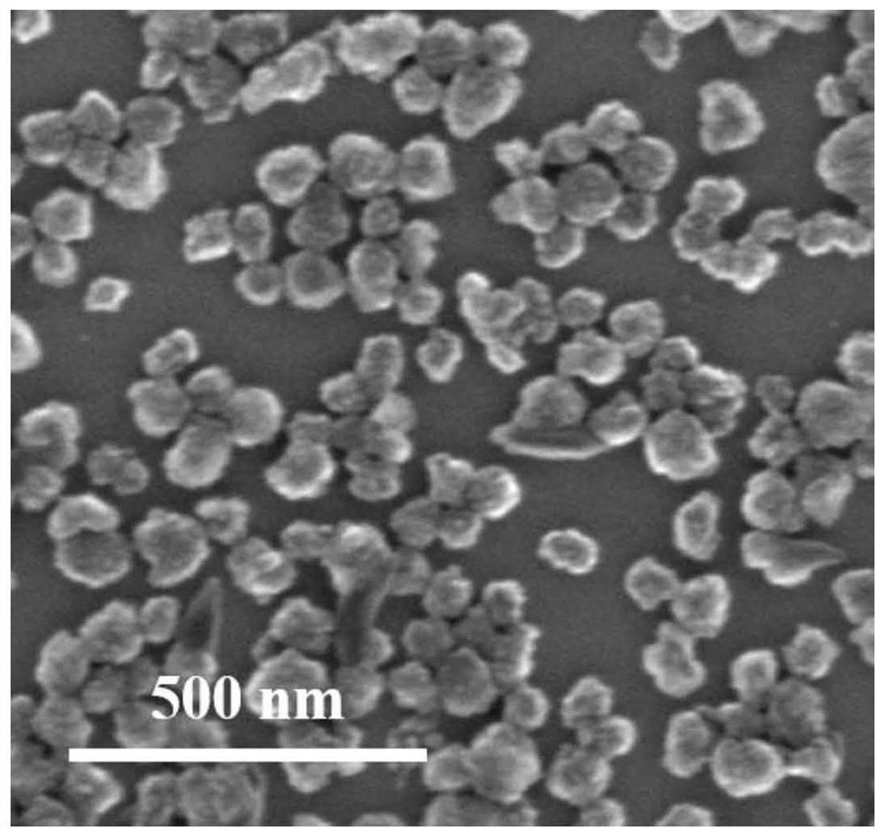 Preparation method and application of cobalt-doped metal organic framework nanoparticles