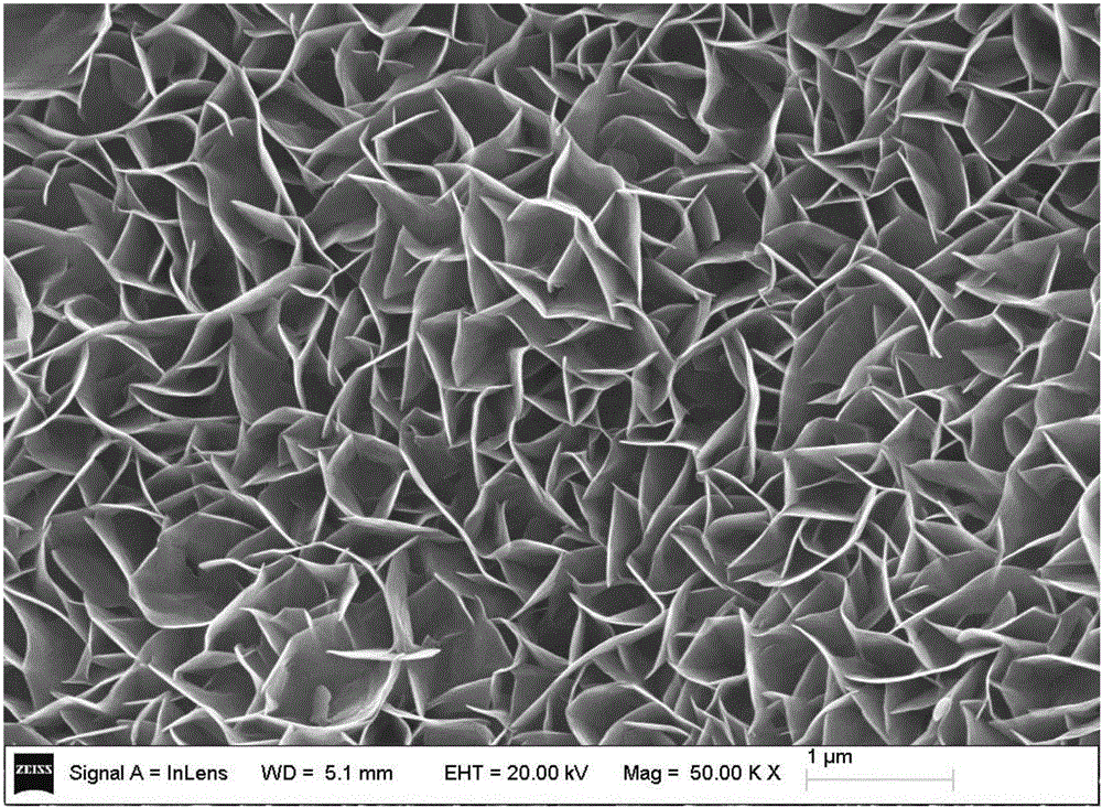 Single-cell-thickness nano porous cobalt oxide nanosheet array electrocatalytic material