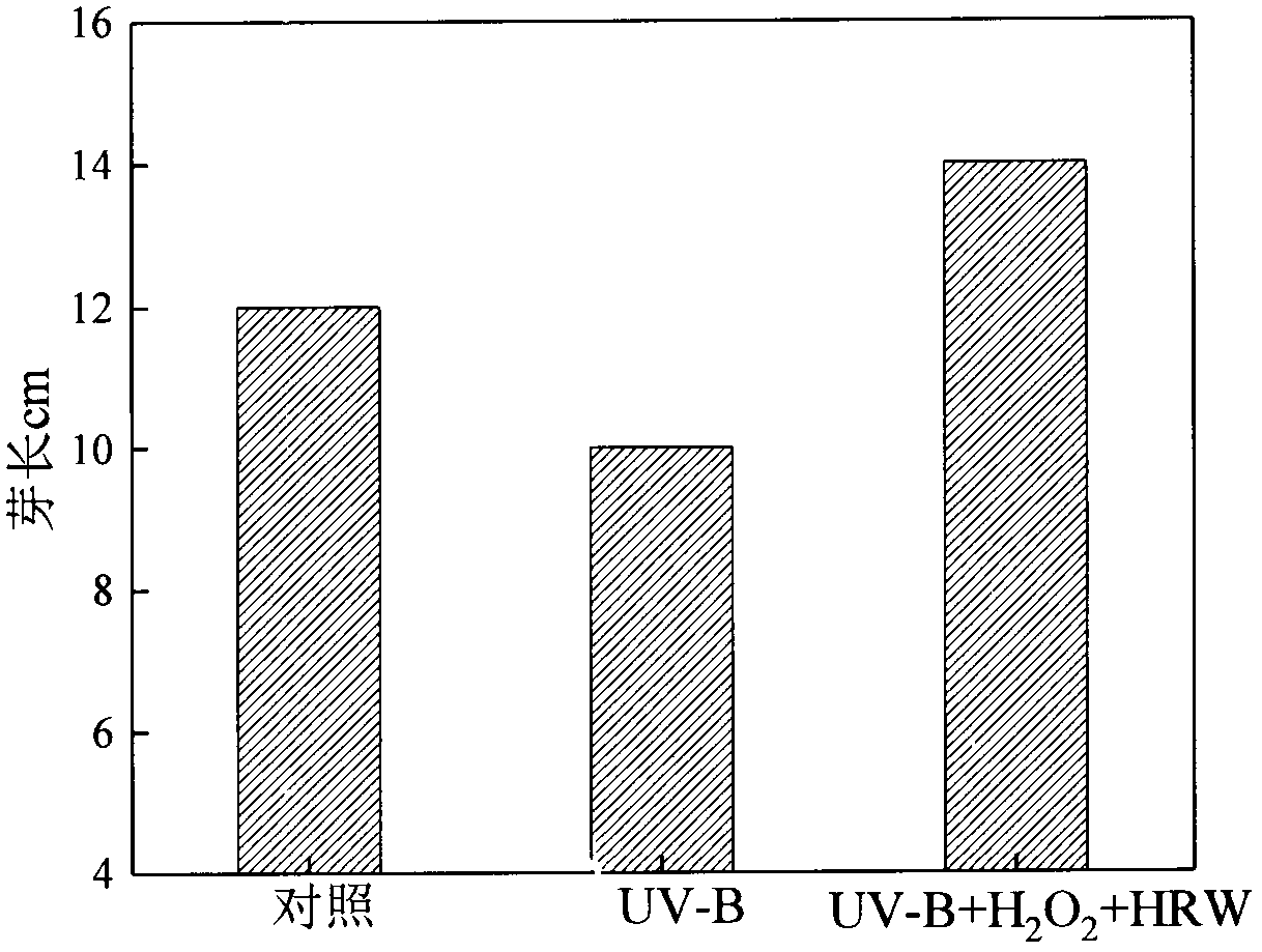 Method of enriching daidzein with soybean sprouts