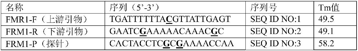 Kit for detecting methylation of promoter region of fragile X mental retardation 1 (FMR1) gene through fluorescent quantitative method and application thereof