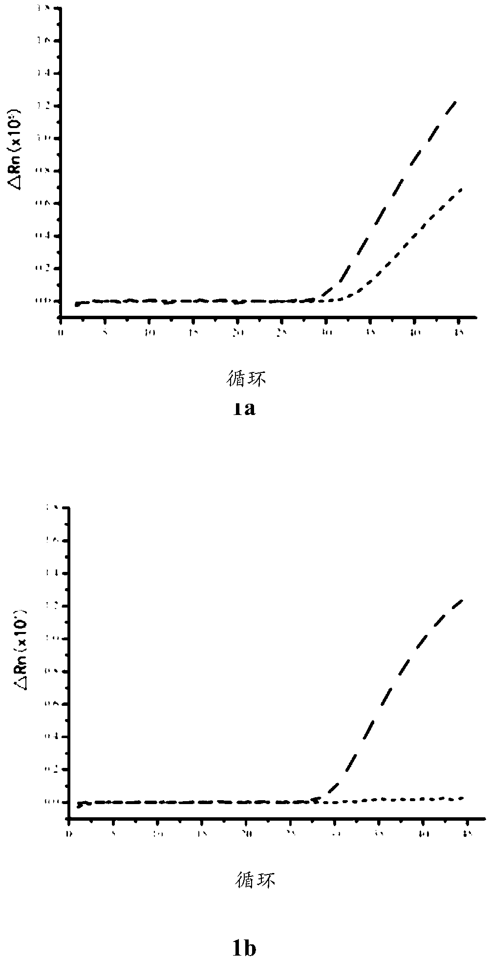 Kit for detecting methylation of promoter region of fragile X mental retardation 1 (FMR1) gene through fluorescent quantitative method and application thereof