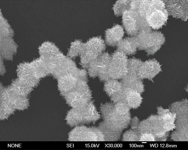 Hydrothermal synthesis method of tin dioxide nano material
