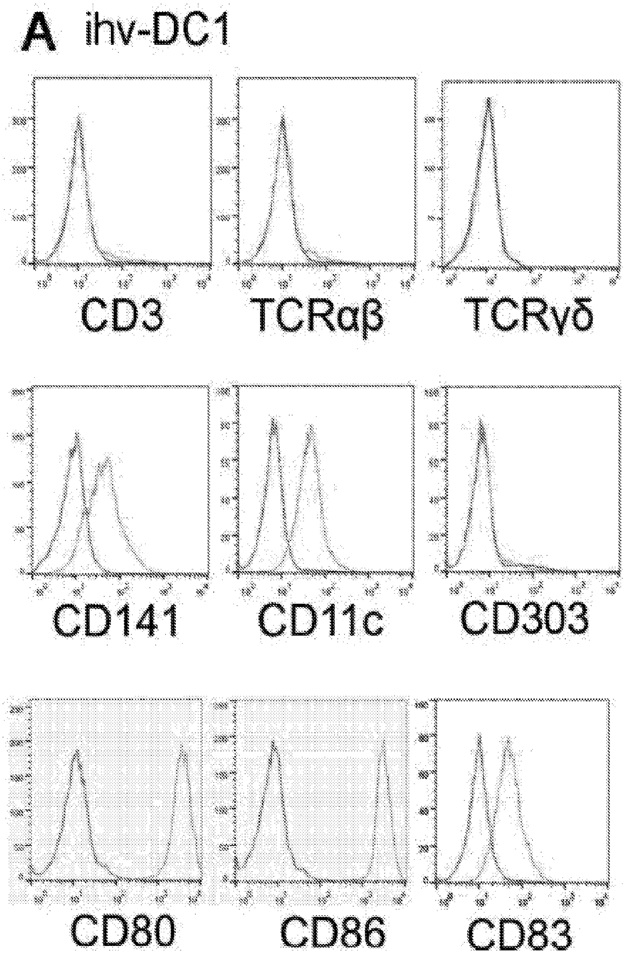 Methods for generating engineered human primary blood dendritic cell lines