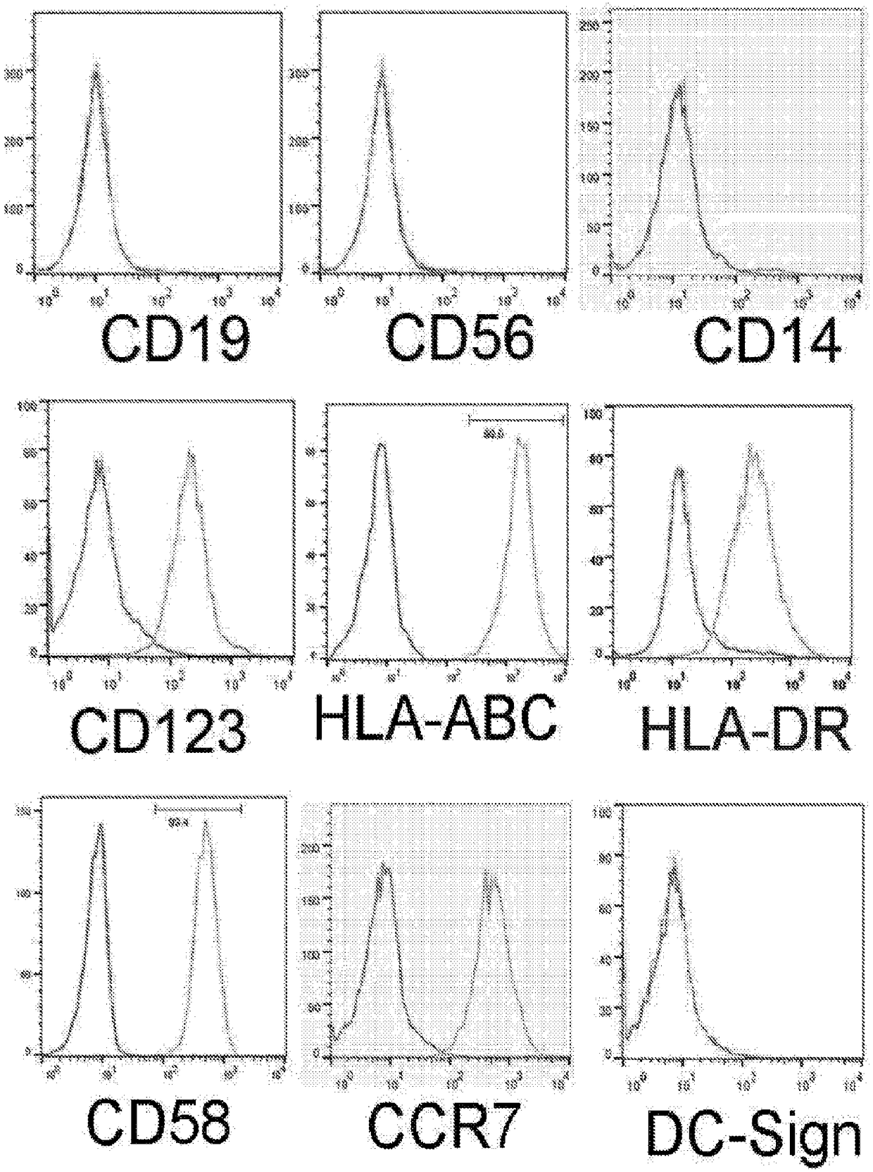 Methods for generating engineered human primary blood dendritic cell lines