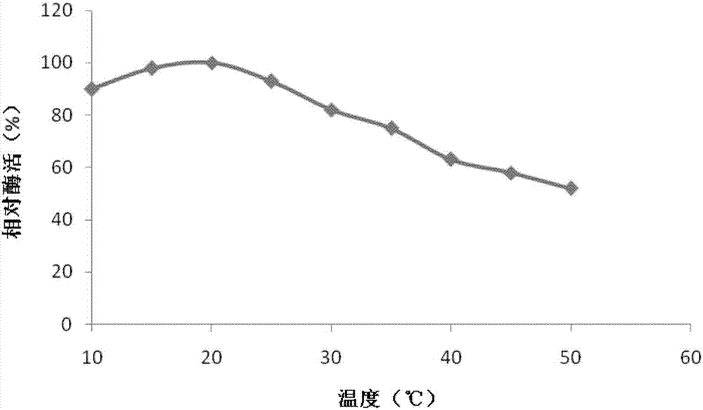 Oxidation resistant low-temperature glucose oxidase and production method and application of oxidation resistant low-temperature glucose oxidase