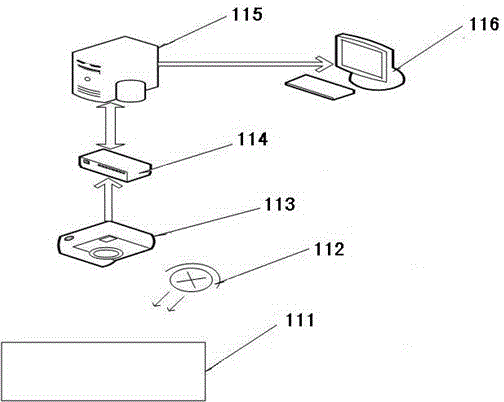 Automatic on-line vision detecting and sorting system and sorting method