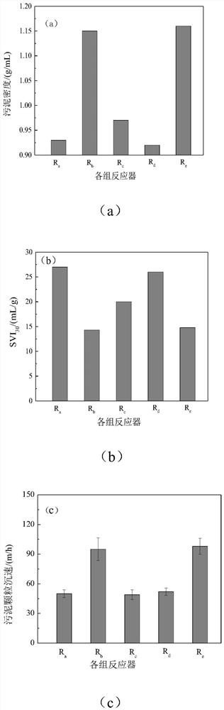 A method for controlling the flotation of anaerobic ammonium oxidation granular sludge in a high-load reactor