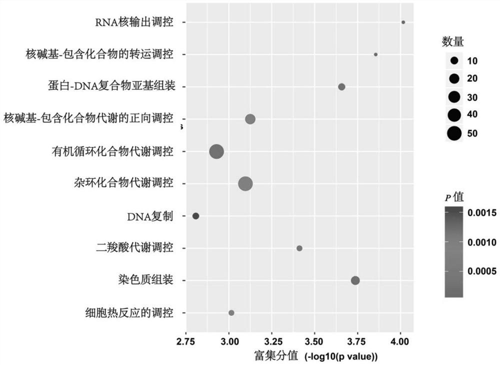 Application of interleukin 37 and its effect on RNA m6A methylation in lung cancer cells