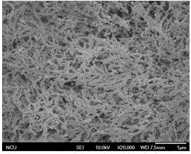 Label-free aptamer sensor and method for detecting bisphenol A