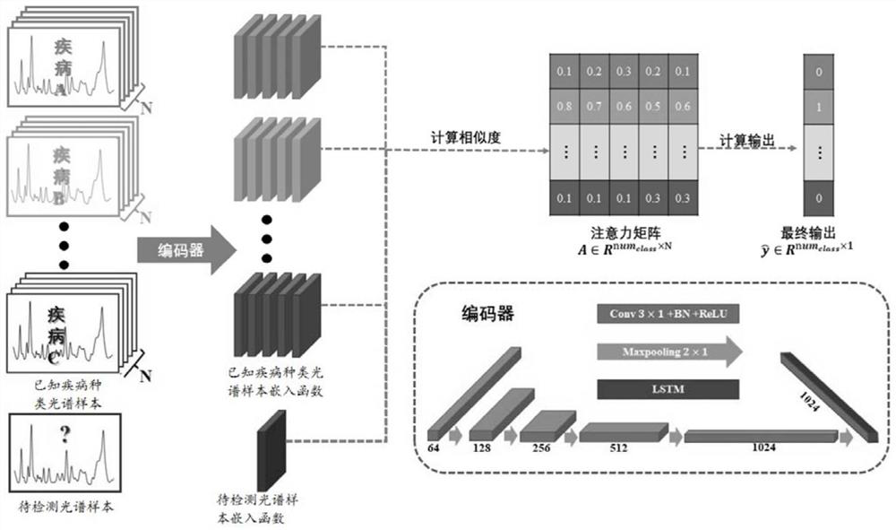 Spectral data processing method and device, storage medium and electronic equipment