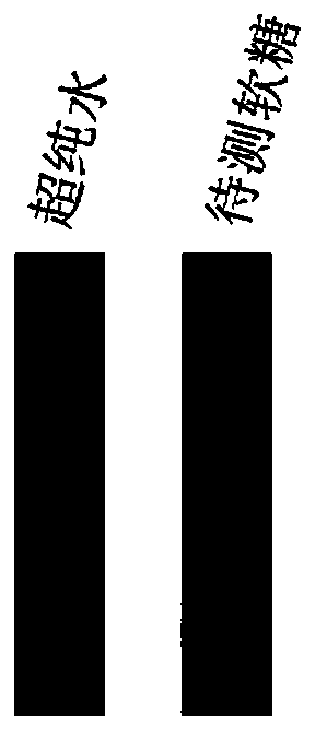 Carbohydrate binding domain specifically bound with carrageenan and preparation and application thereof