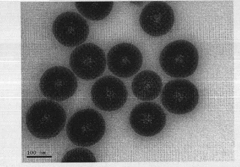 Method for packing histidine-tagged protein with nano silica