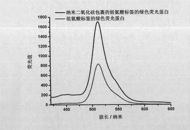 Method for packing histidine-tagged protein with nano silica