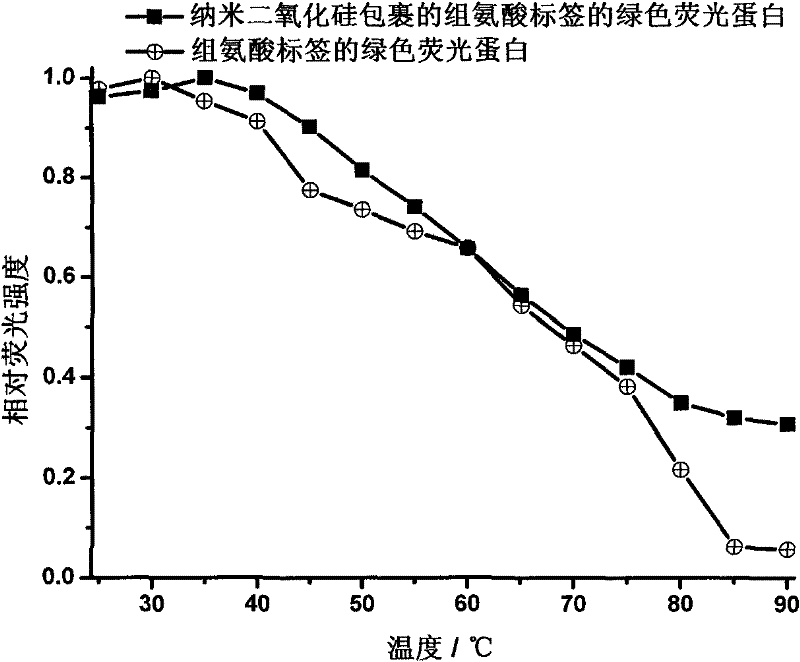 Method for packing histidine-tagged protein with nano silica