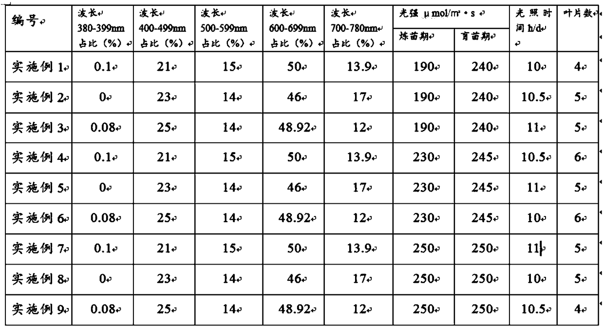 Indoor hydroponic method for mesembryanthemum crystallinum