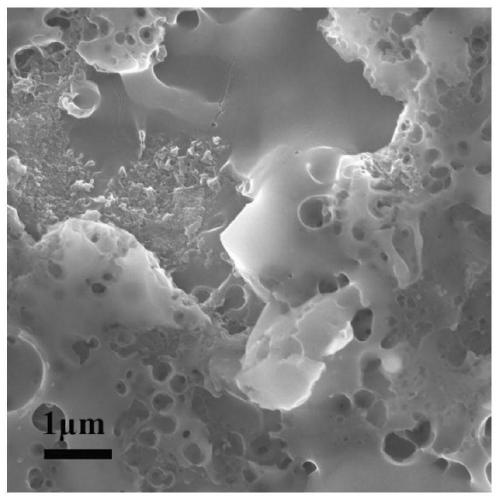 A kind of surface modified titanium implant and its functional treatment method