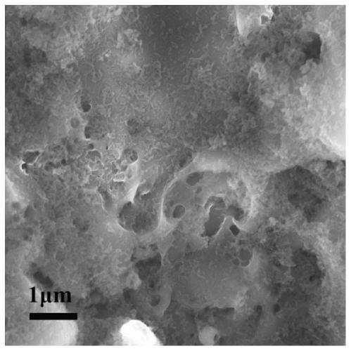 A kind of surface modified titanium implant and its functional treatment method