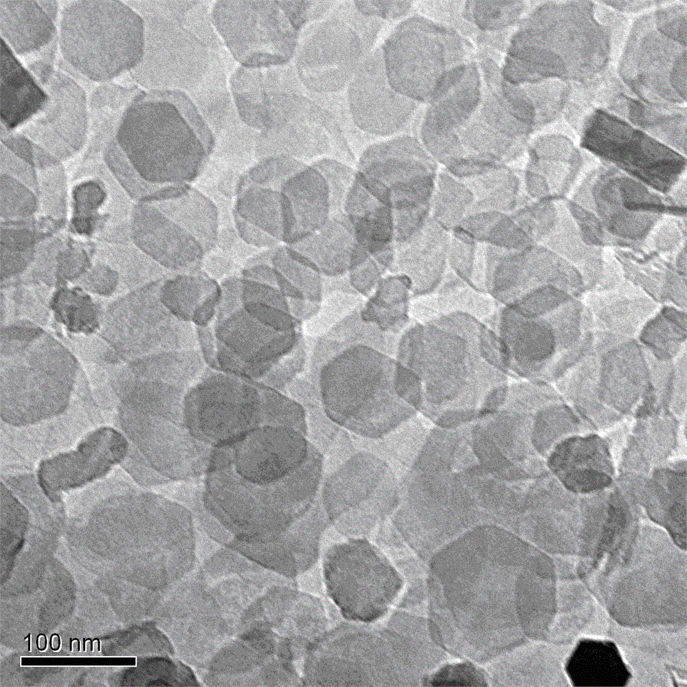 Application of Inorganic Nanomaterial Layered Double Hydroxide in the Culture of Mouse Embryonic Stem Cells