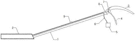 Method for using tree trunk whitening equipment