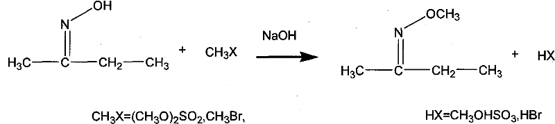 Method for synthesizing methoxy amine hydrochlorate