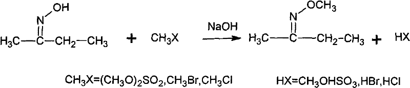 Method for synthesizing methoxy amine hydrochlorate