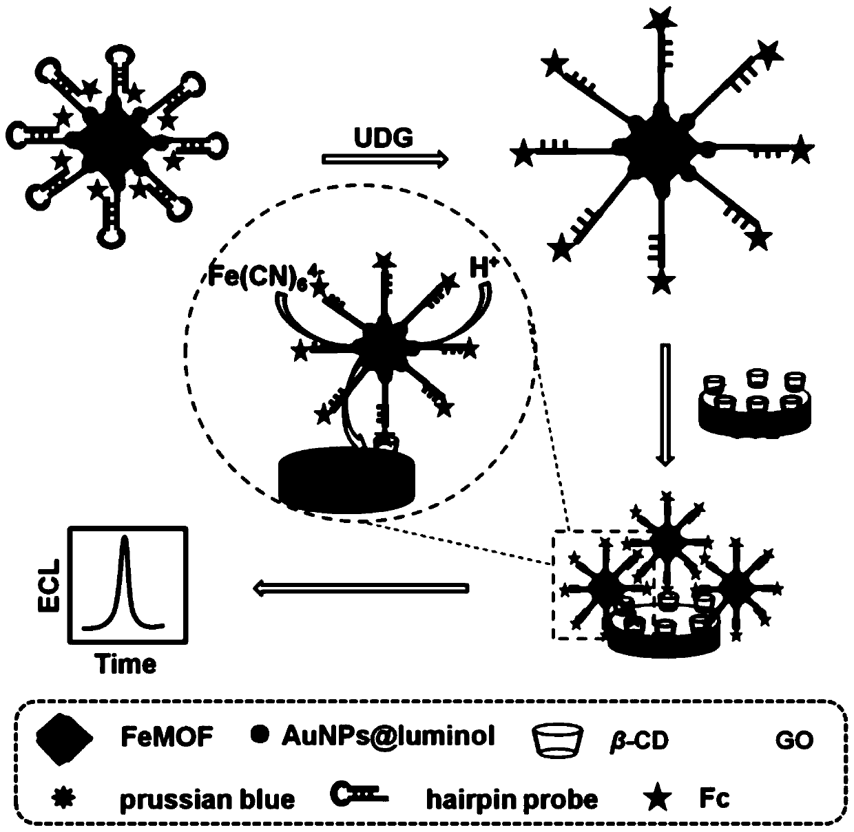 Electrochemical luminescent biosensor, preparation method and application of electrochemical luminescent biosensor to detection of base excision repair enzyme