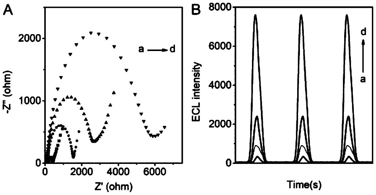 Electrochemical luminescent biosensor, preparation method and application of electrochemical luminescent biosensor to detection of base excision repair enzyme