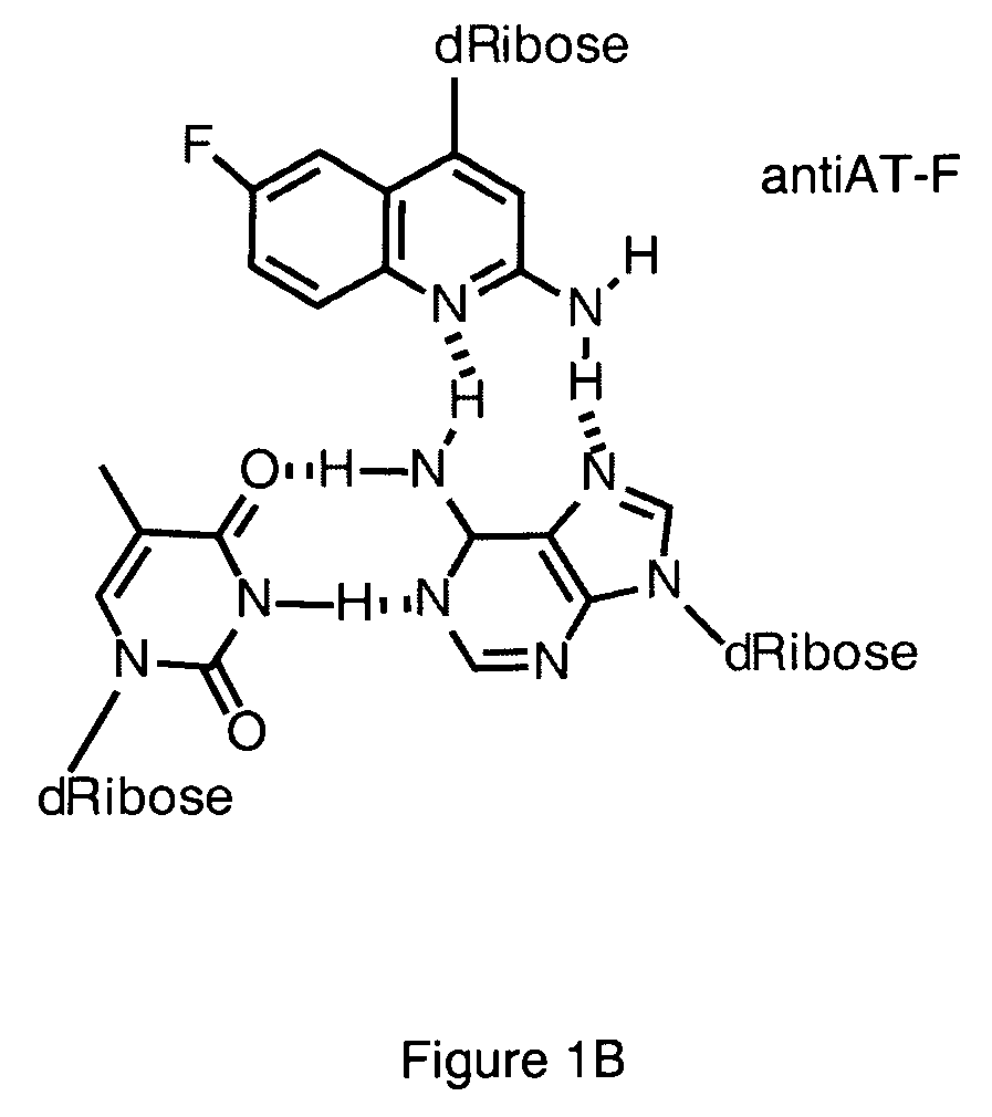 Halogenated aminoquinolines and methods for forming DNA triplexes